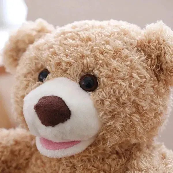 Soft Teddy Bear Plush Toy for Kids