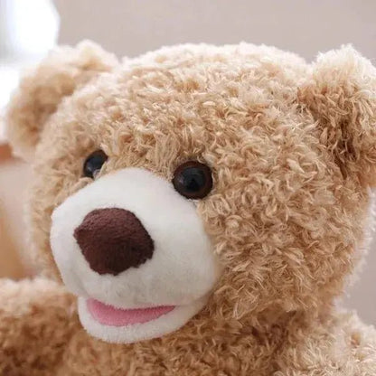 Soft Teddy Bear Plush Toy for Kids
